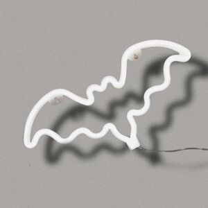 🦇LED Bat Light🦇